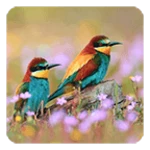 Logo of Birds Live Wallpaper android Application 